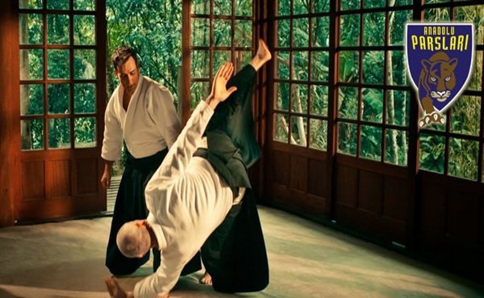 anadolu parsları aikido eğitimi fırsatı