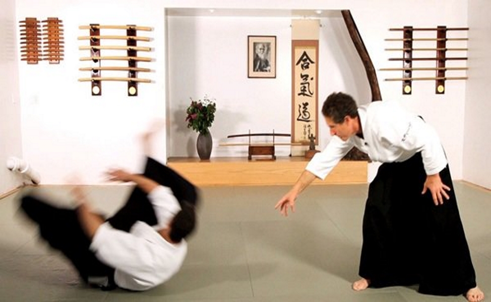 anadolu parsları aikido eğitimi fırsatı